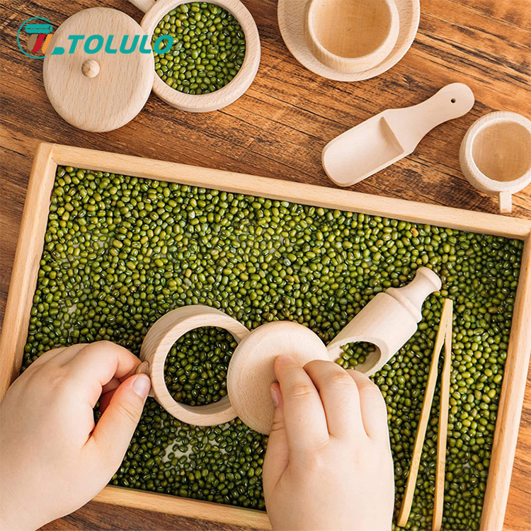 คุณรู้เรื่องของเล่นการศึกษา Tolulo Montessori มากแค่ไหน?